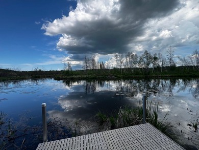 Welcome to C17 Lot 51 at Pathfinder Village! A rare riverfront - photo 4
