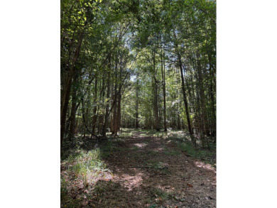 Located in Hickory, Mississippi, this premier 194+/- acre - photo 25