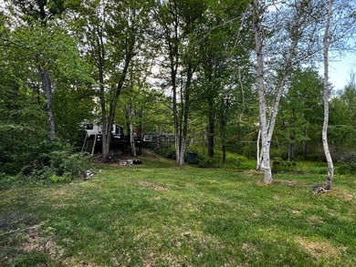 Welcome to C17 Lot 51 at Pathfinder Village! A rare riverfront - photo 6