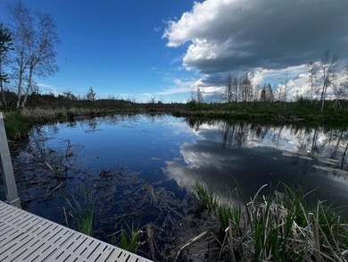 Welcome to C17 Lot 51 at Pathfinder Village! A rare riverfront - photo 8