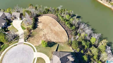 Rare opportunity to have this much water frontage on Lake - photo 5