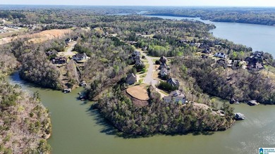 Rare opportunity to have this much water frontage on Lake - photo 10