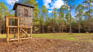 153.85 Acre Turn Key Hunting Property in Taylor County, Georgia - photo 3
