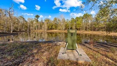 153.85 Acre Turn Key Hunting Property in Taylor County, Georgia - photo 4