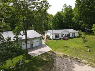 Lake Home For Sale in Central Lake, Michigan