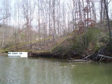 Best Dockable Under $150K !! Large (.94 A ) rolling and level - Lake Lot For Sale in Rockwood, Tennessee