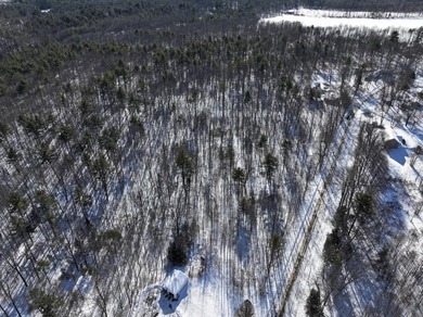 Set in a peaceful rural setting, this 1.6-acre wooded parcel - photo 11