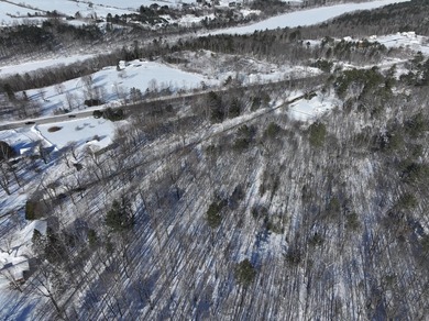 Set in a peaceful rural setting, this 1.6-acre wooded parcel - photo 14