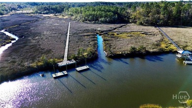 South Newport River - McIntosh County Acreage For Sale in Townsend Georgia