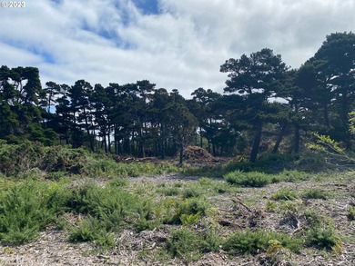 NICE BIG CHUNK OF LAND! ON Bandon's west side in Face Rock - photo 2