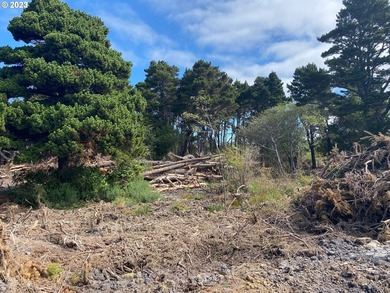 NICE BIG CHUNK OF LAND! ON Bandon's west side in Face Rock - photo 3