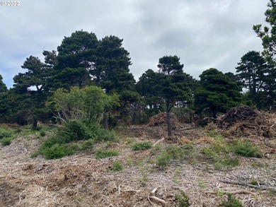 NICE BIG CHUNK OF LAND! ON Bandon's west side in Face Rock - photo 9