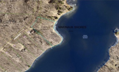 Lake Acreage For Sale in Turtle Lake Twp, Minnesota