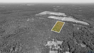 Lake Acreage For Sale in Jefferson, Texas