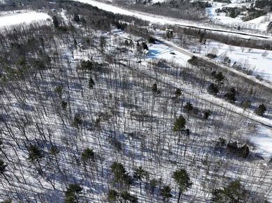 Set in a peaceful rural setting, this 1.6-acre wooded parcel - photo 12