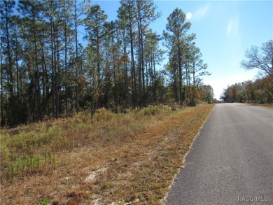 Lake Lot For Sale in Dunnellon, Florida