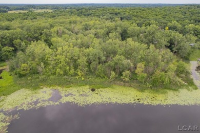 (private lake, pond, creek) Acreage For Sale in Tipton Michigan