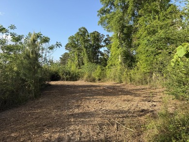Additional listing photo 2