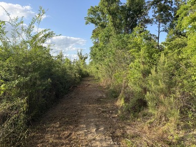 Additional listing photo 4