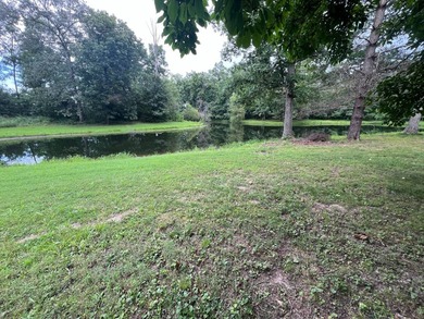 THIS PROPERTY IS BEING OFFERED THROUGH ONLINE AUCTION. The home - photo 18