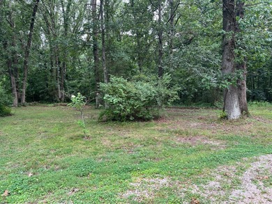THIS PROPERTY IS BEING OFFERED THROUGH ONLINE AUCTION. The home - photo 19