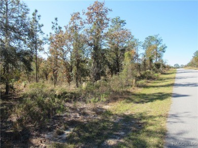 Lake Lot For Sale in Dunnellon, Florida