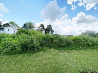 Lake Victoria Lot For Sale in Laingsburg Michigan