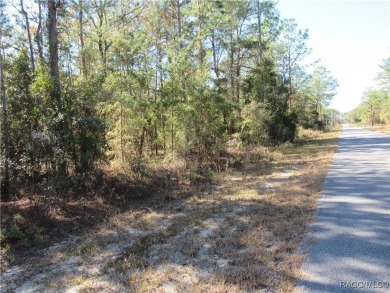 Lake Lot For Sale in Dunnellon, Florida