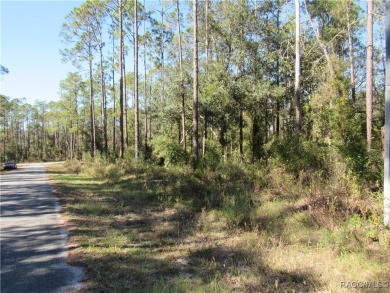 Lake Lot For Sale in Dunnellon, Florida
