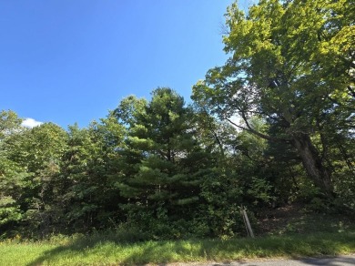 Lake Acreage For Sale in Luther, Michigan