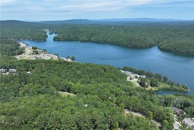 Build Your Mountain Dream Home on this Beautifully Wooded Lot - photo 5