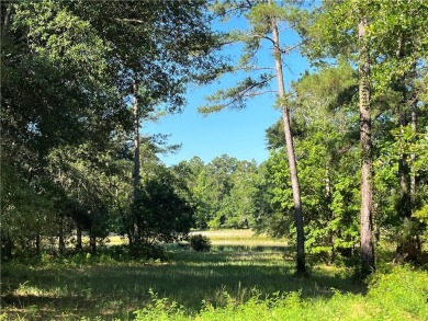 Sapelo River Lot For Sale in Townsend Georgia