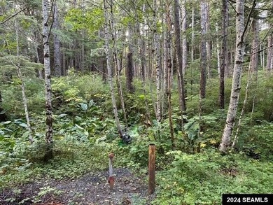 Rare opportunity to own 2.24 acres of waterfront property that - photo 15