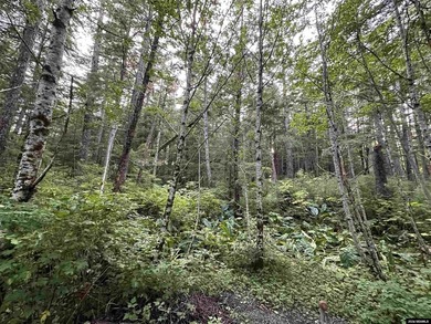 Rare opportunity to own 2.24 acres of waterfront property that - photo 22
