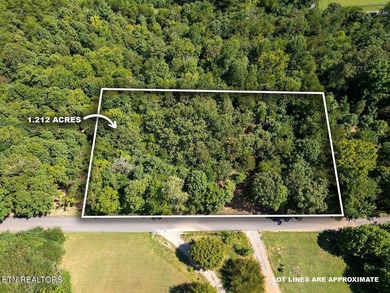 Don't miss your chance to own 1.2 acres in a peaceful lake - photo 2
