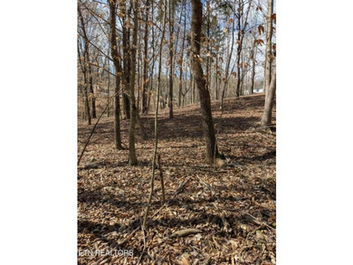 Don't miss your chance to own 1.2 acres in a peaceful lake - photo 3