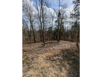 Don't miss your chance to own 1.2 acres in a peaceful lake - photo 4
