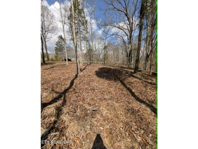 Don't miss your chance to own 1.2 acres in a peaceful lake - photo 5