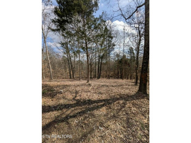 Don't miss your chance to own 1.2 acres in a peaceful lake - photo 6