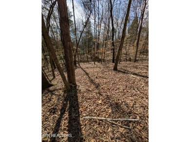 Don't miss your chance to own 1.2 acres in a peaceful lake - photo 7