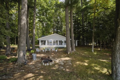 Lake Home For Sale in Cadillac, Michigan