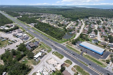 Prime 1.31-acre commercial lot on US HWY 19 in Hudson - photo 7