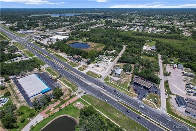 Prime 1.31-acre commercial lot on US HWY 19 in Hudson - photo 9