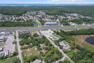 Prime 1.31-acre commercial lot on US HWY 19 in Hudson - photo 10