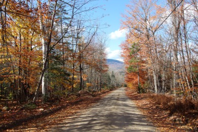 Lake Acreage Off Market in Weld, Maine