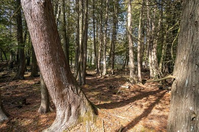 Additional listing photo 1