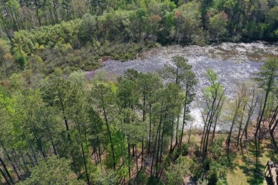 Lake Acreage Off Market in Ebony, Virginia