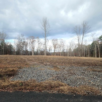 PRIME 10.82 Acres with NO RESTRICTIONS - Your Dream Property - photo 2
