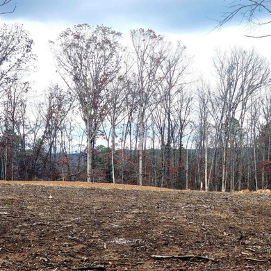 PRIME 10.82 Acres with NO RESTRICTIONS - Your Dream Property - photo 4