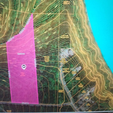 PRIME 10.82 Acres with NO RESTRICTIONS - Your Dream Property - photo 5